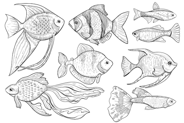 Fish sketch. freshwater and ocean fish animal sketch illustration in engraved style. food and fishing sport  item on white background. hand drawn water creature food menu  icon.