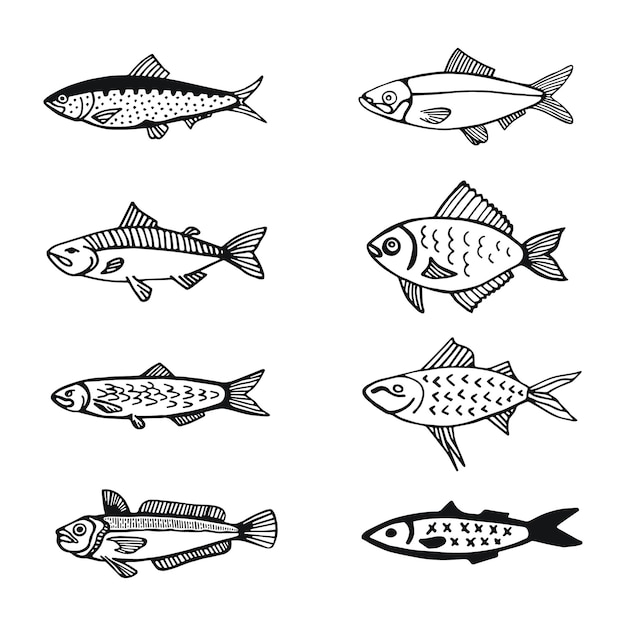 Fish sketches set vector illustration