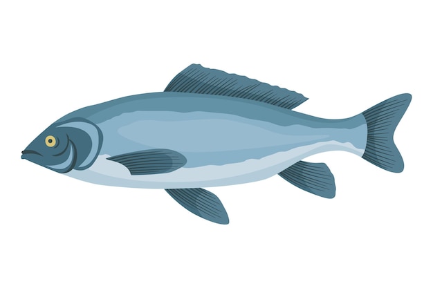 fish sorts or types freshwater fish handdrawn color illustration of inland fish commercial fish specie