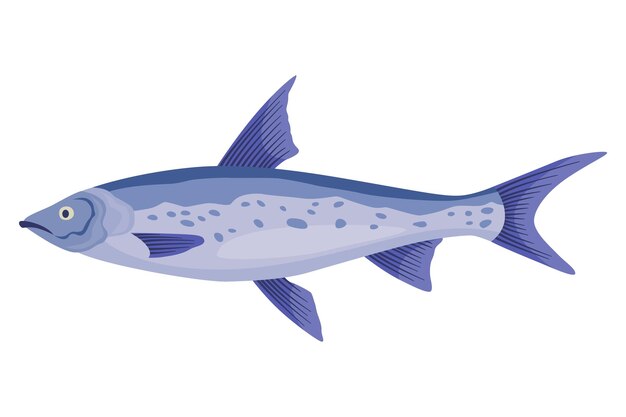 fish sorts or types freshwater fish handdrawn color illustration of inland fish commercial fish specie