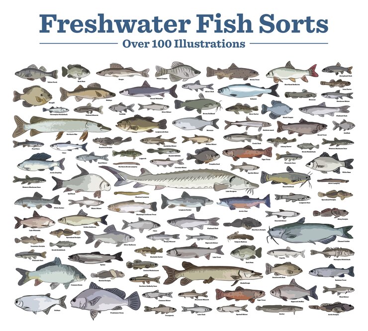Vector fish species