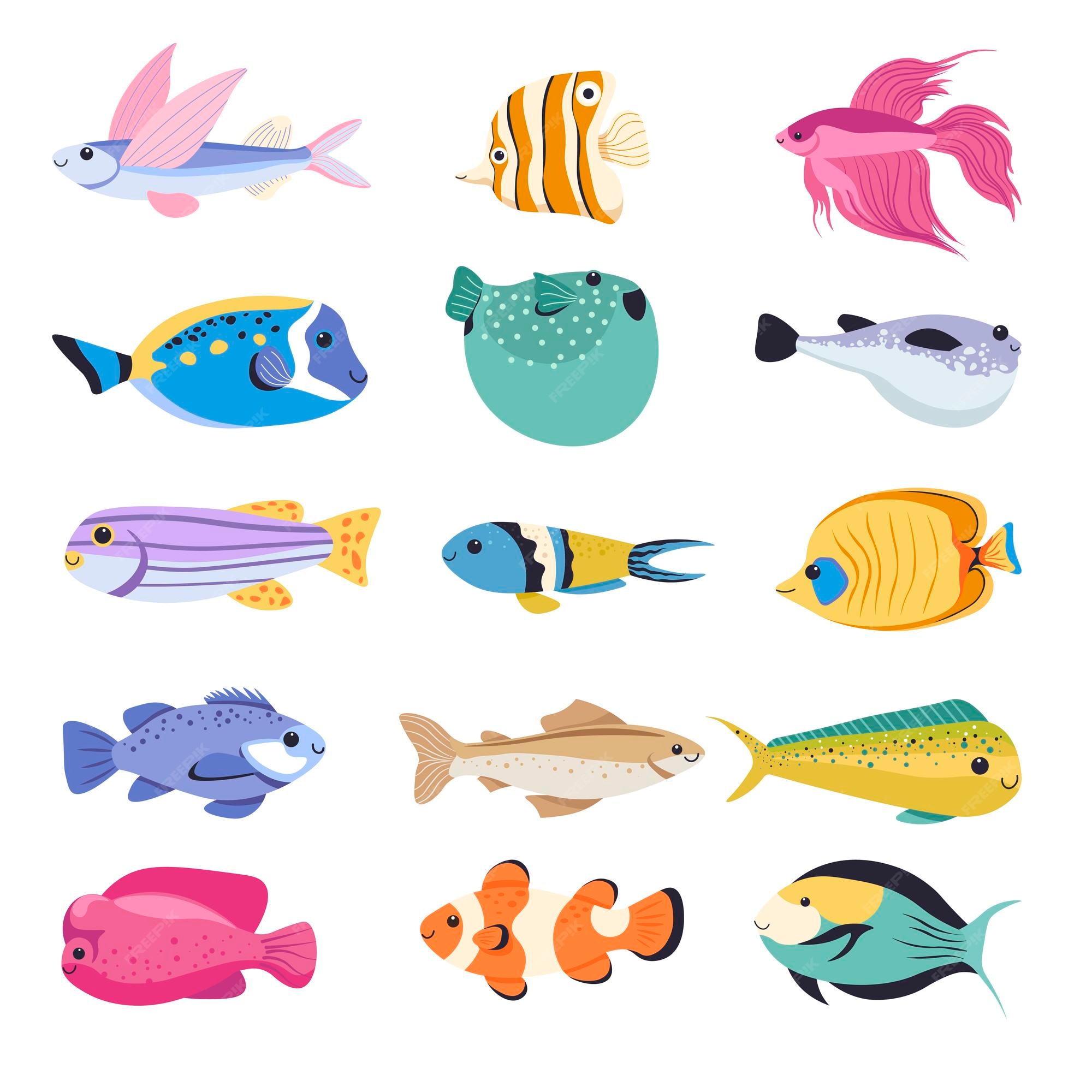 premium-vector-fish-types-for-aquarium-tropical-species-vector
