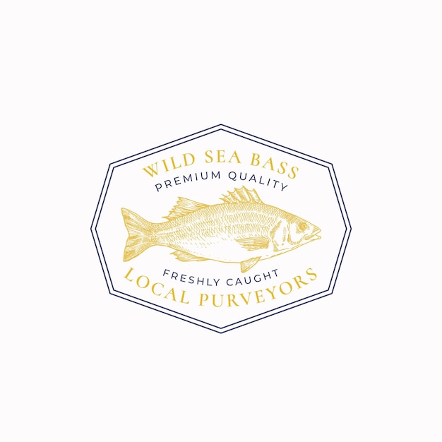 Fish Vintage Frame Badge or Logo Template Hand Drawn Wild Sea Bass Sketch Emblem with Retro Typography