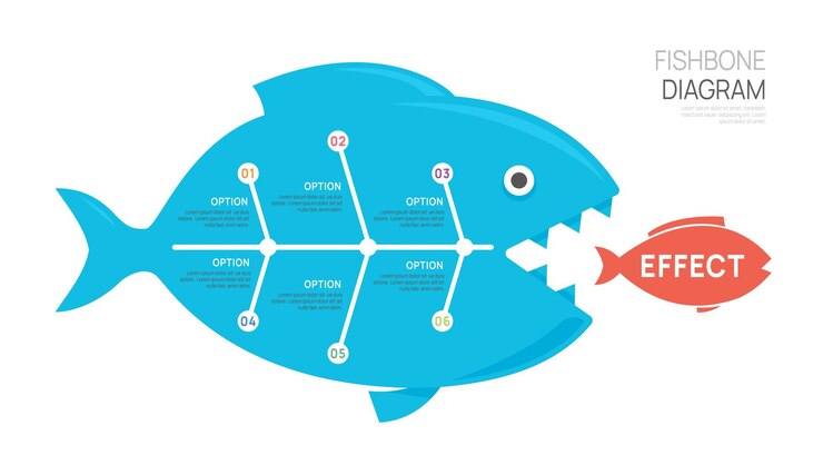 Vector fishbone diagram cause and effect template for business timeline infographics vector design