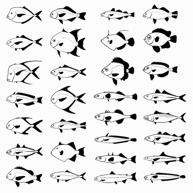 Fishes set