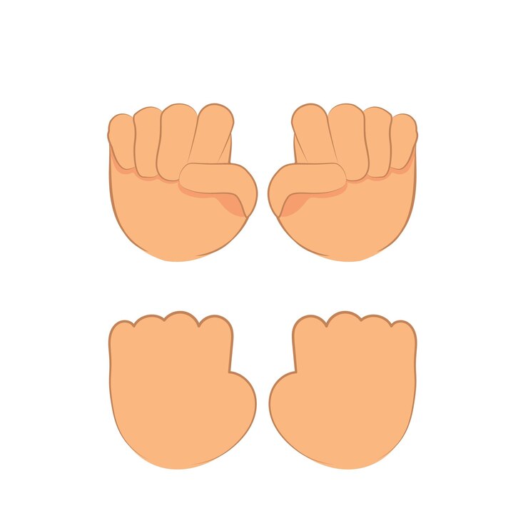 Vector fist gesture with the inside and back of the hand. hand gesture.