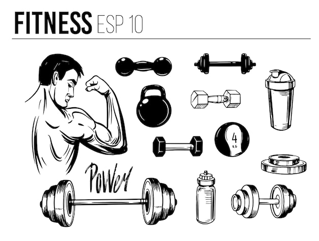 Vector fitness equipment, dumbbell, barbells. vector sketch illustration