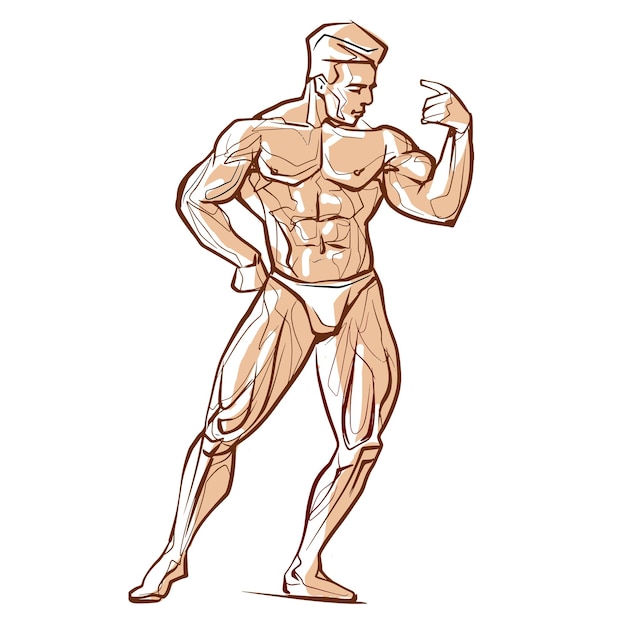 Fitness men posing Muscular man stands rippling athlete sprinter Vector drawing