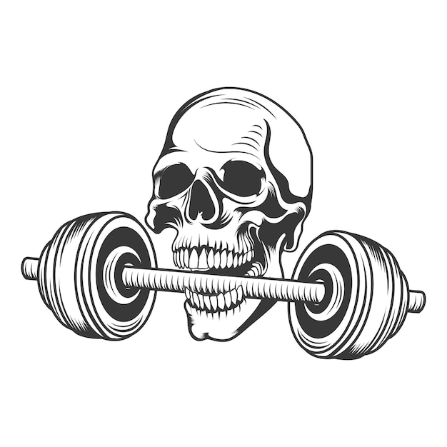 Vector fitness skull catch a dumble with teeth gym vector design