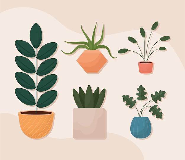 Five potted plants