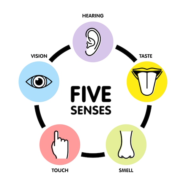 Five senses line icons.