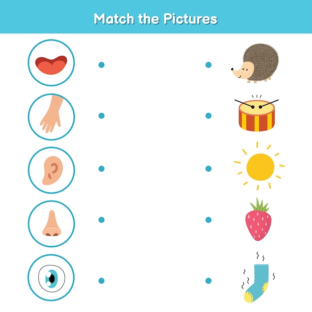 Five senses matching game for kids. sight, touch, hearing, smell and taste. match the pictures activity page. learning body parts material for preschool. workbook for children. vector illustration