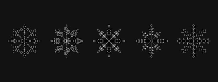 Vector five white snowflakes set black background vector illustration