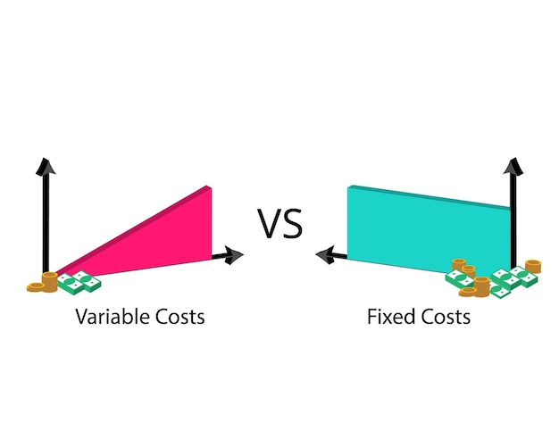 Vettore costo fisso senza variazione della quantità di merci confrontato con costo variabile con variazioni dei livelli