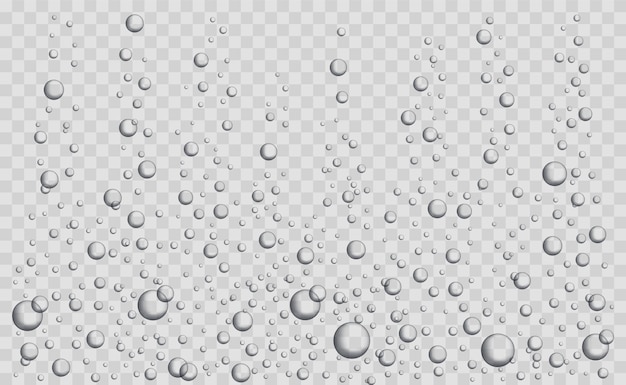 Vector fizzing air bubbles underwater on transparent background realistic water bubbles