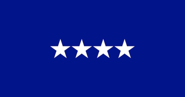 Флаг генерал-лейтенанта ВВС США векторное изображение