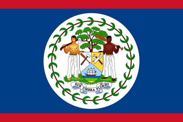 Vector flag of belize vector illustration