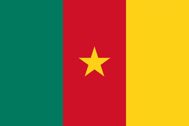 Flag of cameroon flag nation