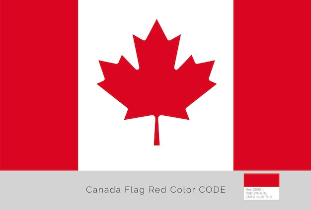 Vettore bandiera del canada amp codice di colore della bandiera effettiva