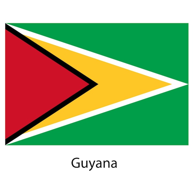 Flag of the country guyana Vector illustration