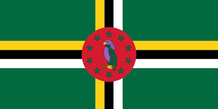 Vector flag of dominica vector illustration