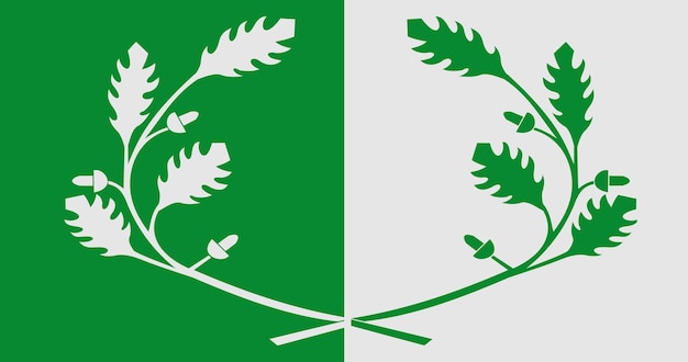 Flag of Eeklo Municipality in Belgium vector image