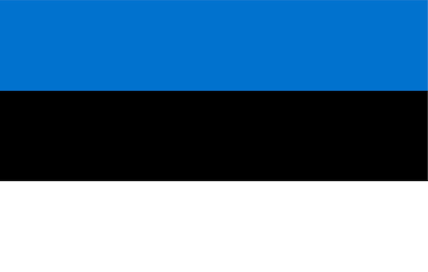 Vector flag of estonia flag nation