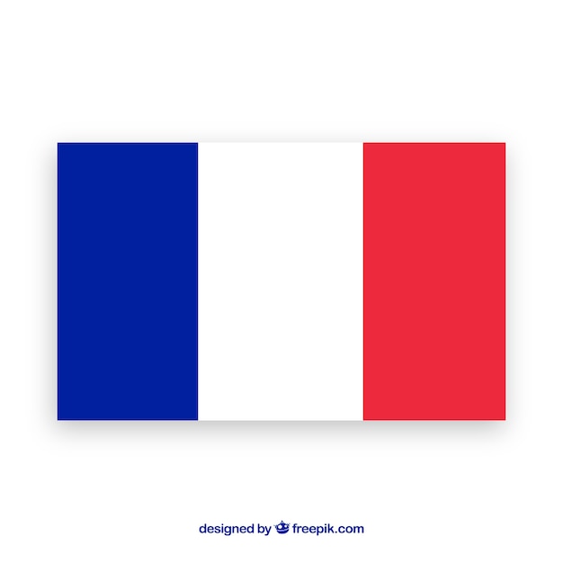Vettore bandiera della francia sullo sfondo