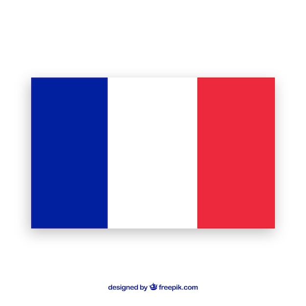 Vector flag of france background