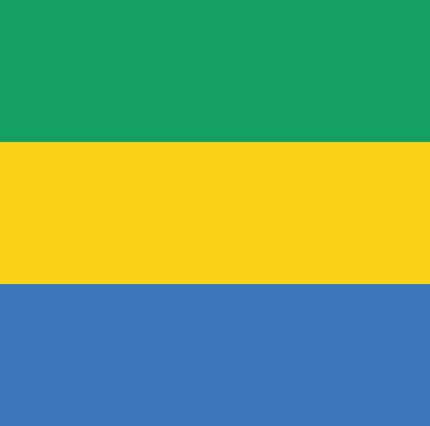 Flag of Gabon Flag Nation