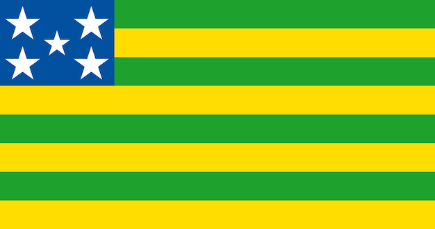 Flag of goias brazilian state vector image