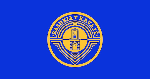 Flag of Kavaje city in Albania vector image