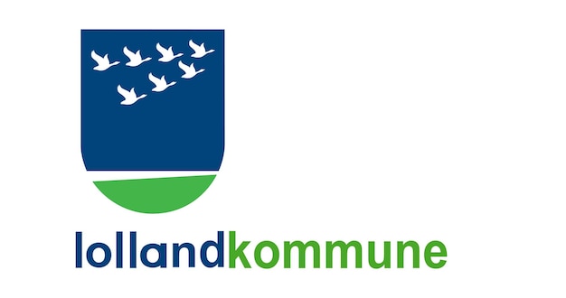 Flag of Lolland Municipality in Denmark vector image