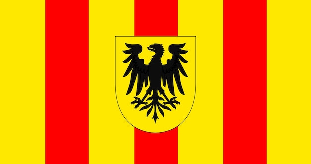 Flag of mechelen city in belgium vector image