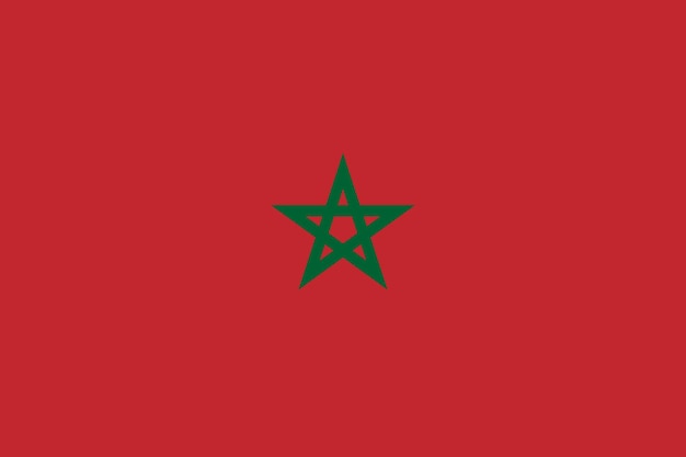 Vector flag of morocco vector illustration