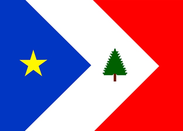 Vector flag of the new england acadians