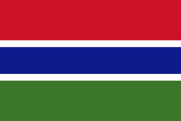 Vettore flag_of_gambia