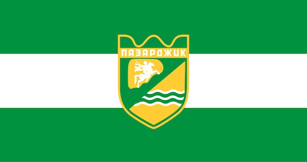 Flag of Pazardzhik city in Bulgaria vector image