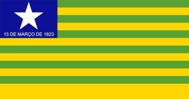 Flag of Piaui Brazilian state vector image