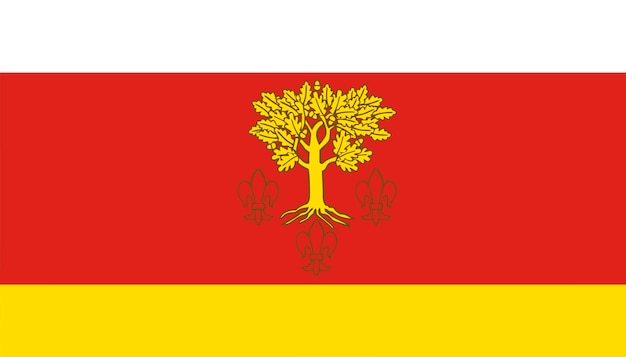 Poddembytsky 지역의 국기