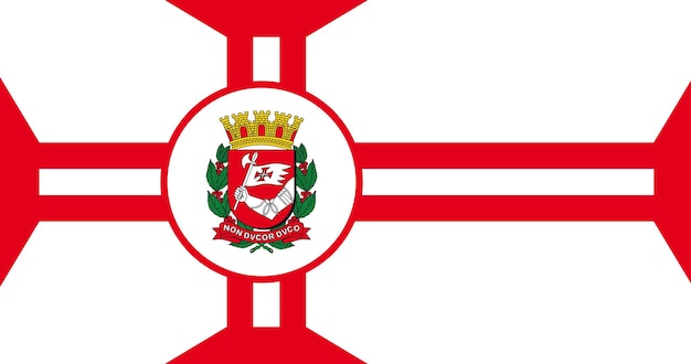 Flag of Sao Paulo City in Brazil vector image