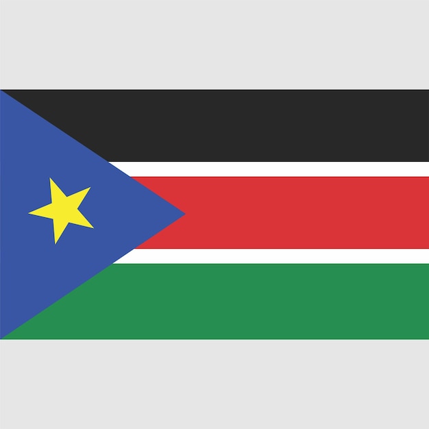 Vector a flag of south sudan with a yellow star.