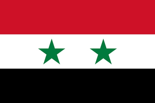 Vector flag of syria flag nation vektor illustration