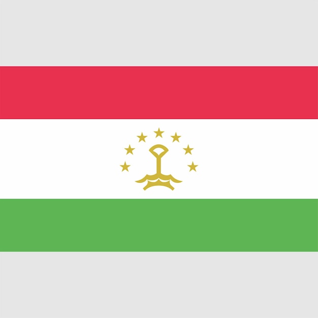 Vector a flag of the tajikistan