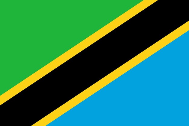 Vector flag of tanzania vector illustration