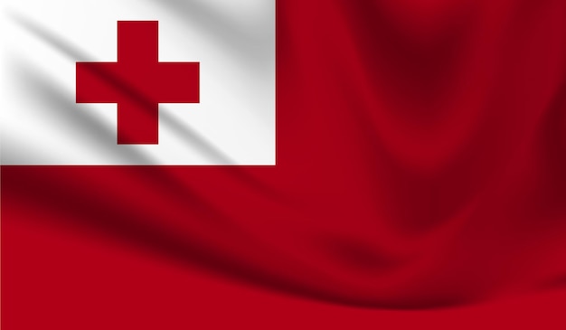 Vector flag of tonga vector design