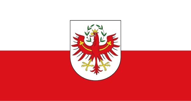 Flag of Tyrol state in Austria vector image