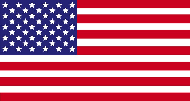 the flag of the united states