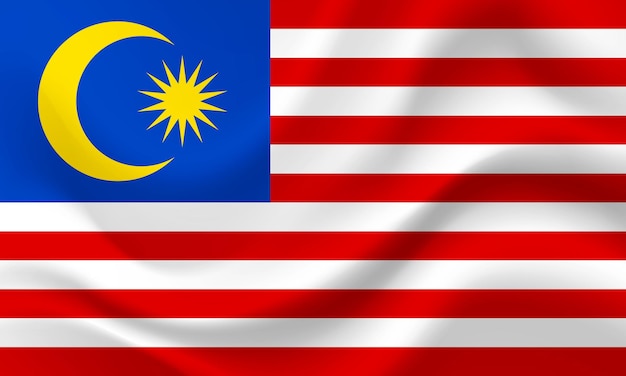 Vettore una bandiera con sopra la parola malesia