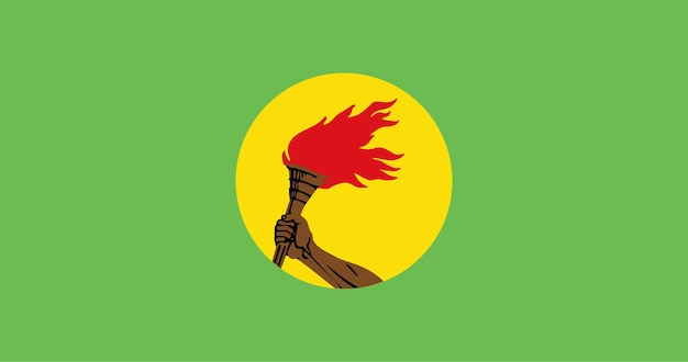 Vector flag of the zaire state vector image